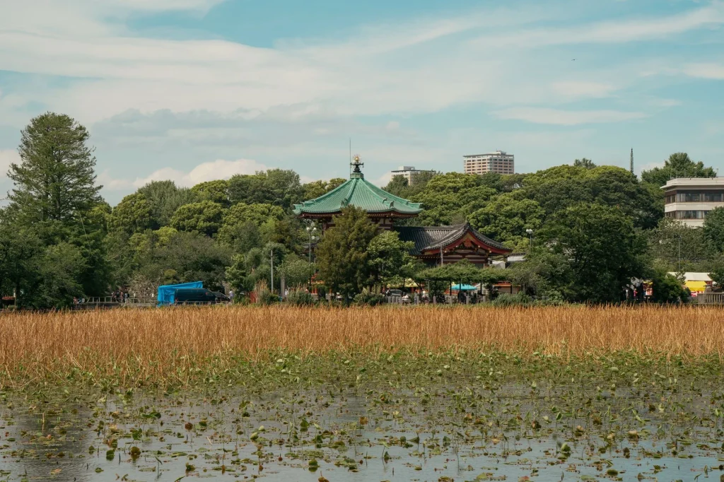 Camino arbolado en Ueno Park
